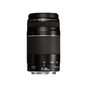 Alquiler de Teleobjetivo zoom Canon EF 75-300mm f/4-5.6 III