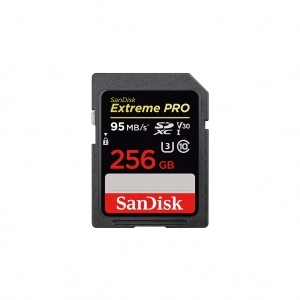 Alquiler de SD 256 GB Clase 10 SanDisk Extreme Pro 256 GB