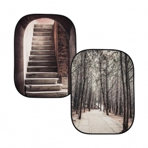 Venta de Fondo plegable Escalera piedra/Árboles invierno Lastolite Perspective LL LB5740